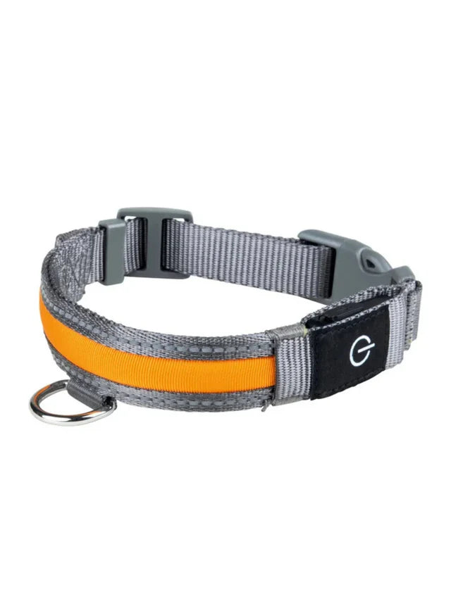 LED Dog Collar