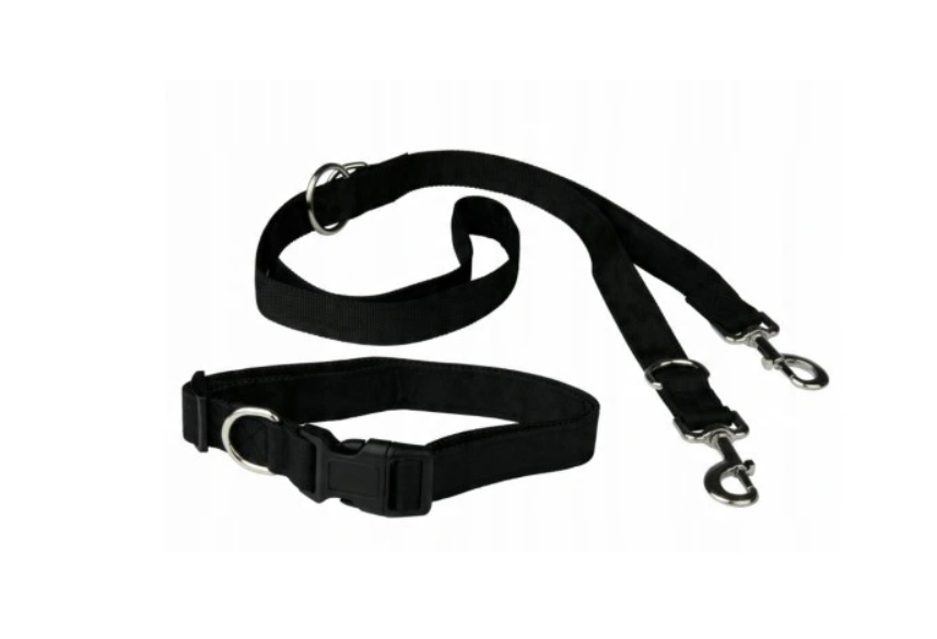 Dog leash set