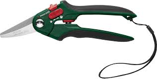 Bypass Scissors
